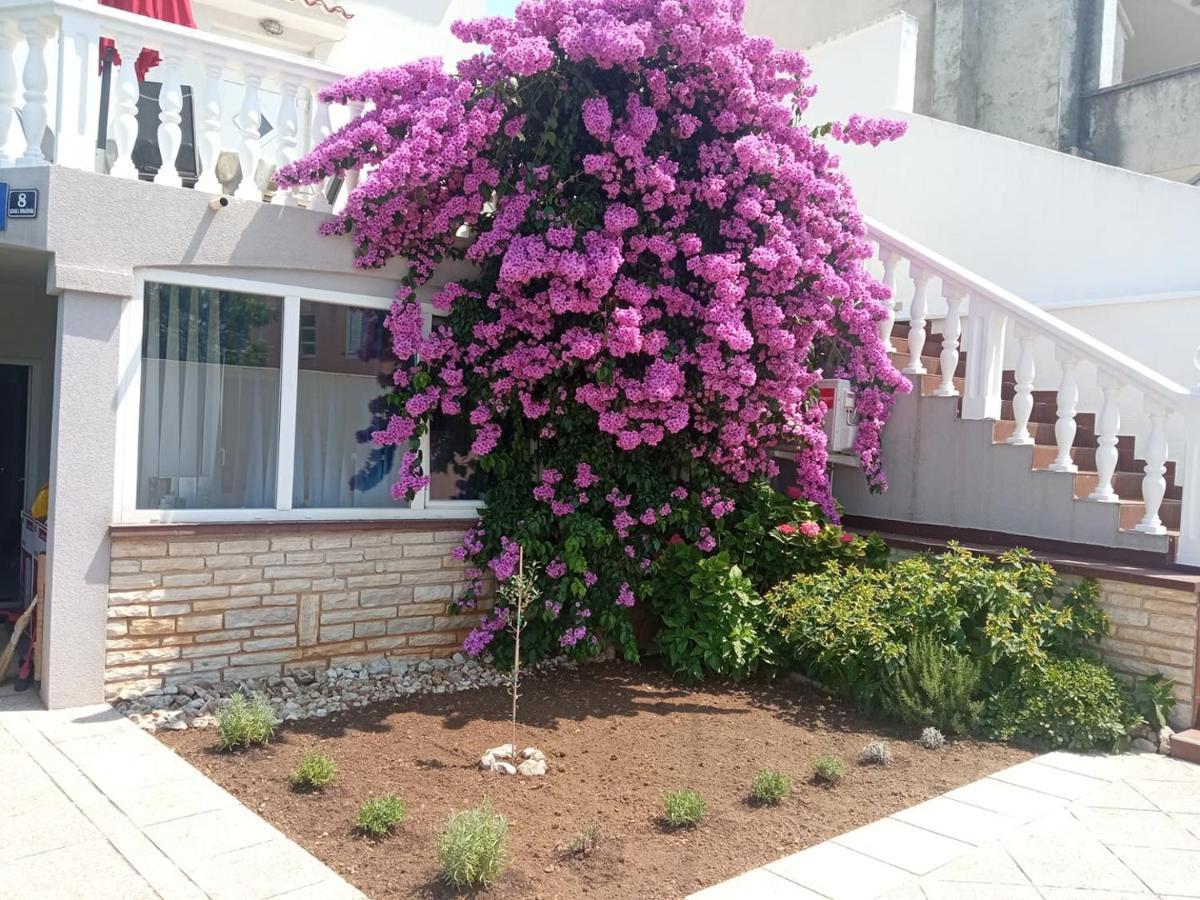 Cherish Novalja Ngoại thất bức ảnh