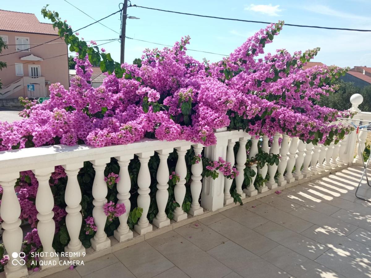 Cherish Novalja Ngoại thất bức ảnh