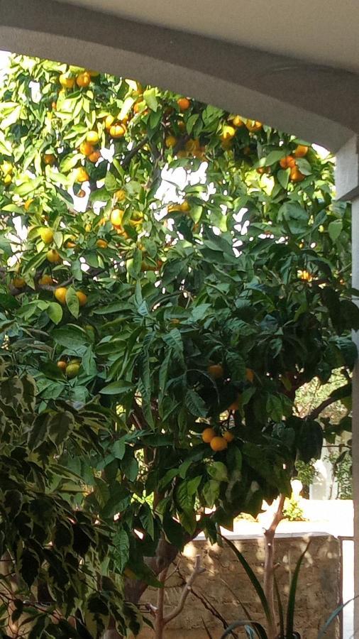 Cherish Novalja Ngoại thất bức ảnh
